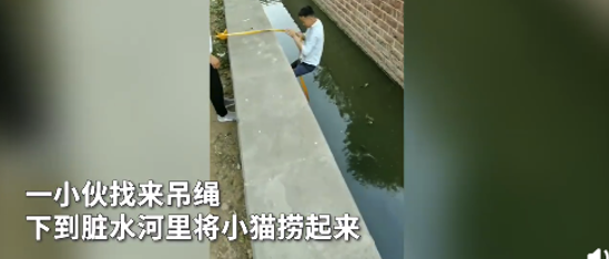 小伙下臭水沟救流浪猫