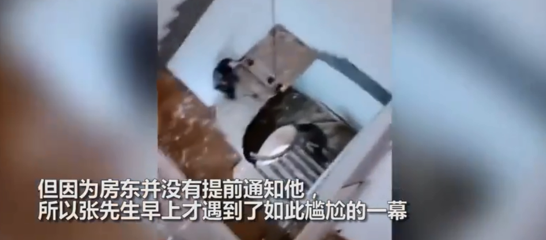 早上一开门楼梯没了？小伙被这一幕吓得目瞪口呆