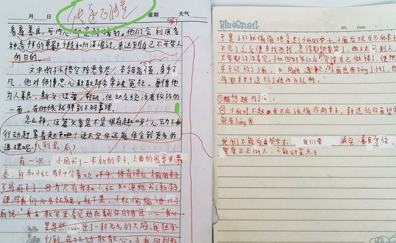 小学生疑因作文判定“负能量”坠亡，调查组发布调查结果 