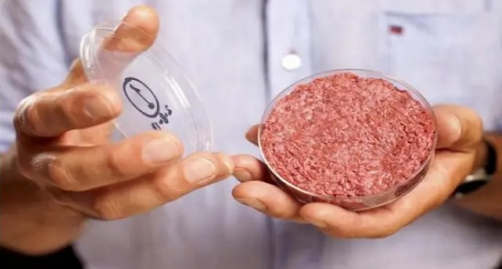 豆腐是肉类完美的替代品