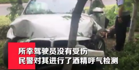 开车连撞6颗树，检测结果只因为感冒药