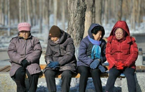 人数平稳增长，预计超5亿人，提前进入老年化