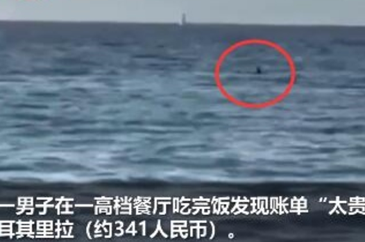 吃霸王餐后跳入爱琴海躲债！