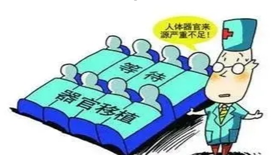 经过警察的不懈追击，人体器官贩卖案，事实真相露出水面