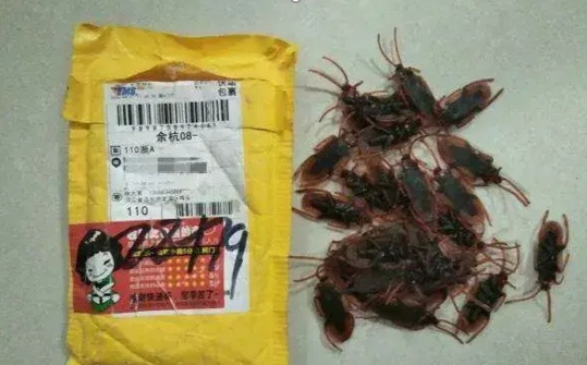 匿名寄花圈和蟑螂，仇恨有那么深？原来是恶作剧 