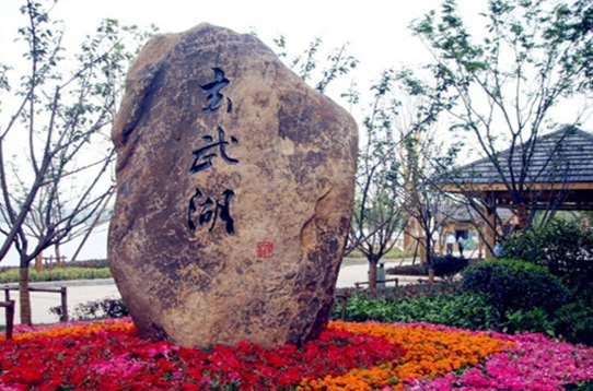 奇观！玄武湖公园现群鱼跳跃