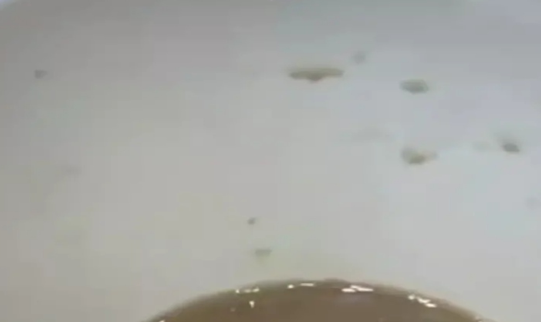 在旅游景点喝东西喝出活虫，游客讨要说法