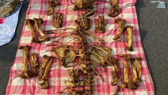 为了钱选择犯法，男子沉浸了8年后，还是被抓 