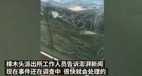 熊孩子不懂事，划花多辆豪车，其父母面对巨额赔偿