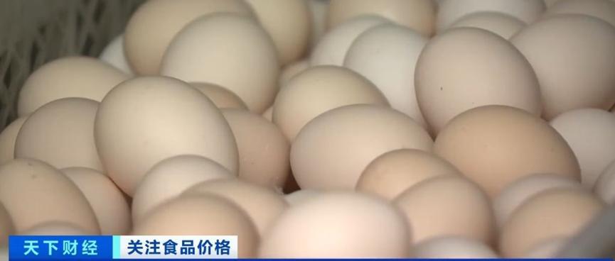 鸡蛋价格跌落，将近3成，预计秋季会上涨