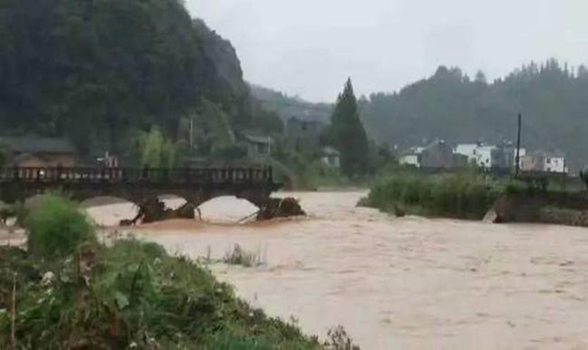 福建武夷连遭大雨，机智的猴子蹲在桥上避险