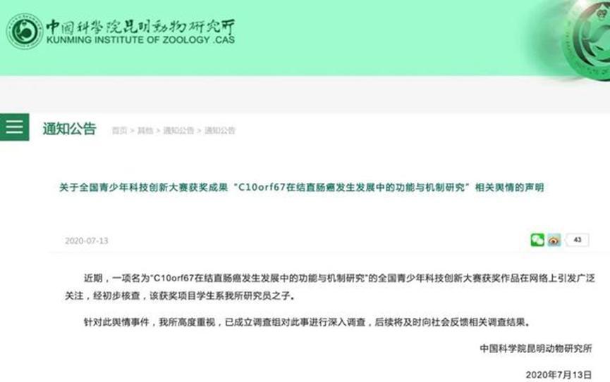 小学生疑似借用他人研究成果，已成立专项调查组，后续会公示结果