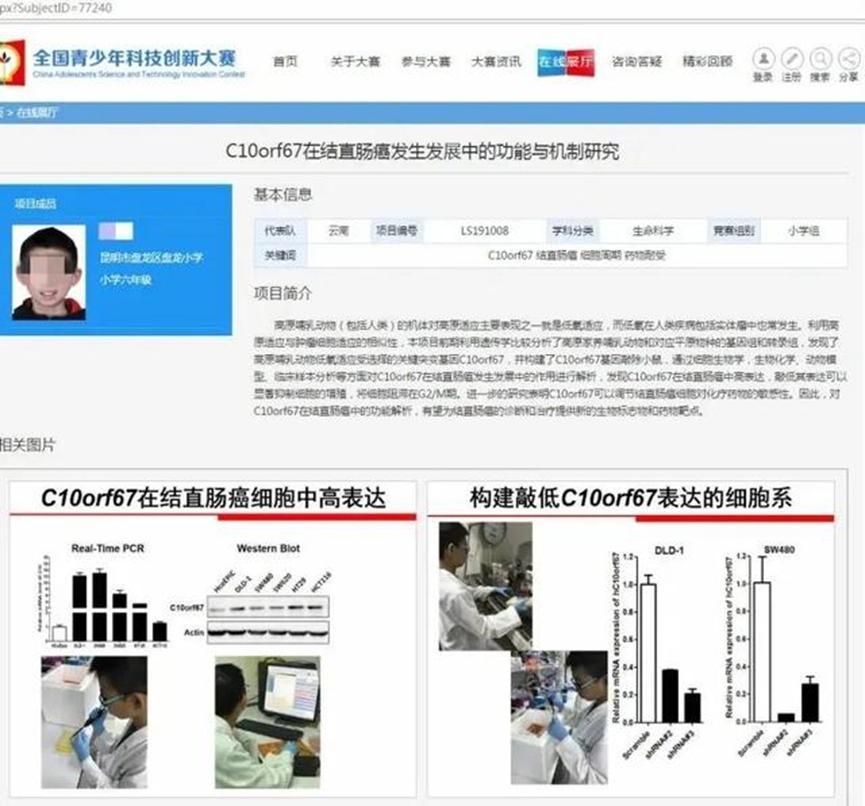 小学生疑似借用他人研究成果，已成立专项调查组，后续会公示结果