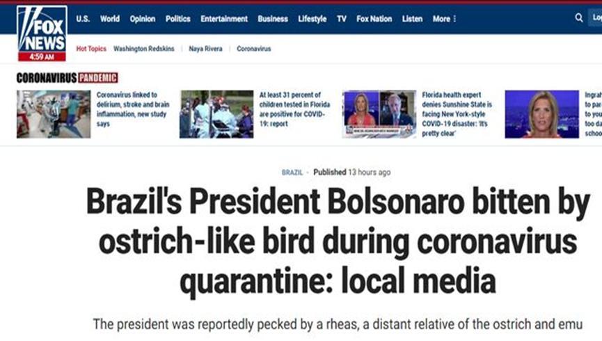 巴西总统隔离期闲逛，竟被鸵鸟咬伤