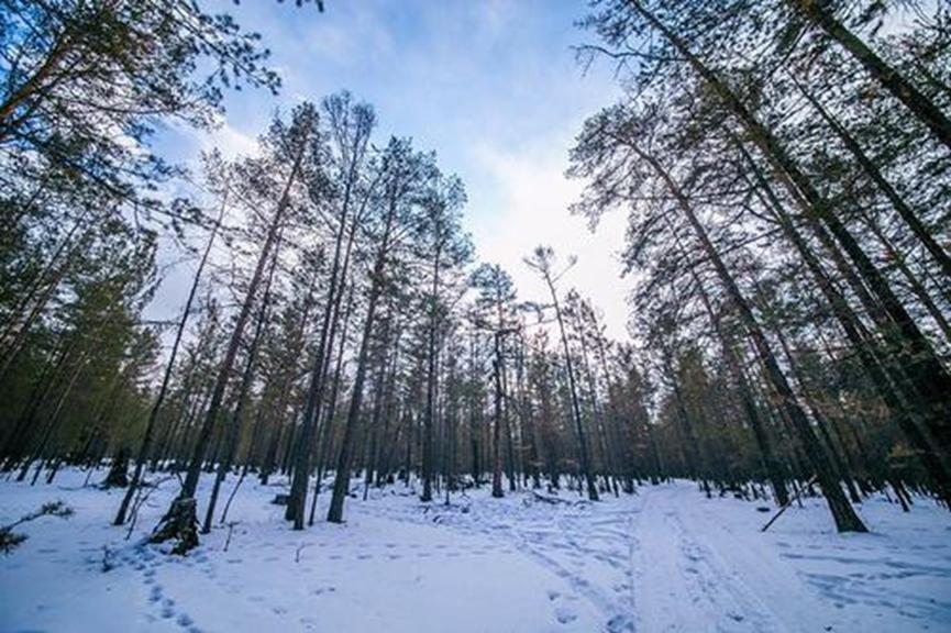 西伯利亚遭遇高温天气，冻土或将解冻，同时会发生次生灾害