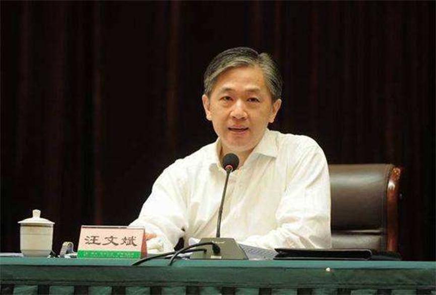 又添新成员，外交部新任发言人汪文斌亮相