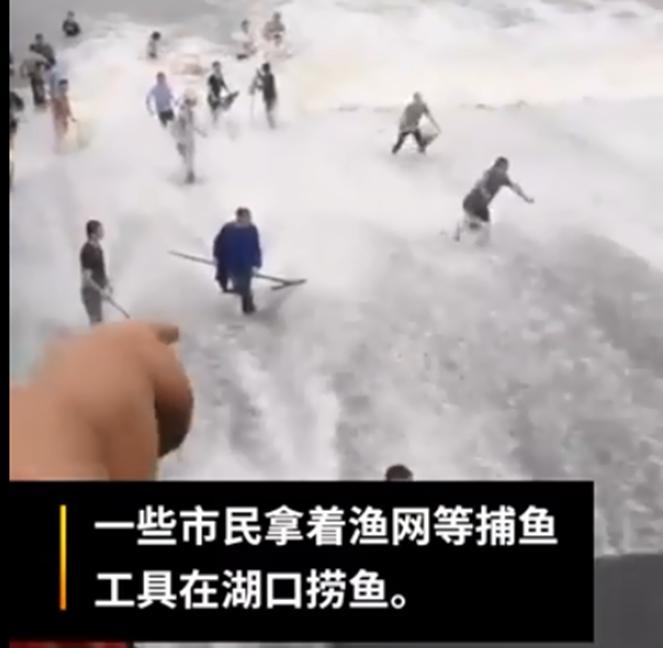 合肥市湖口波涛汹涌，大量的鱼跳出水面，市民冒险去捕捞