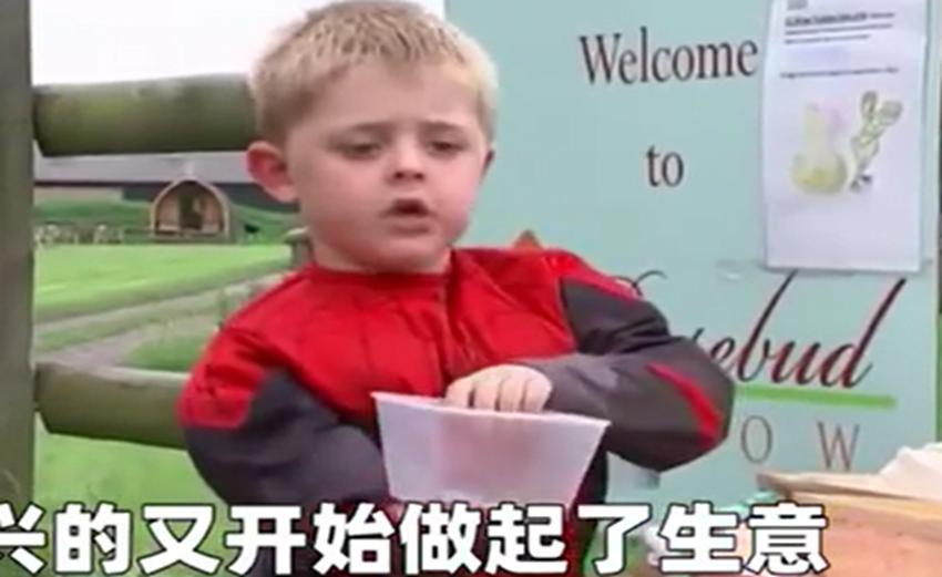诚实再次被考验，这次有没有如人所愿呢？