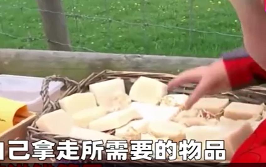 诚实再次被考验，这次有没有如人所愿呢？