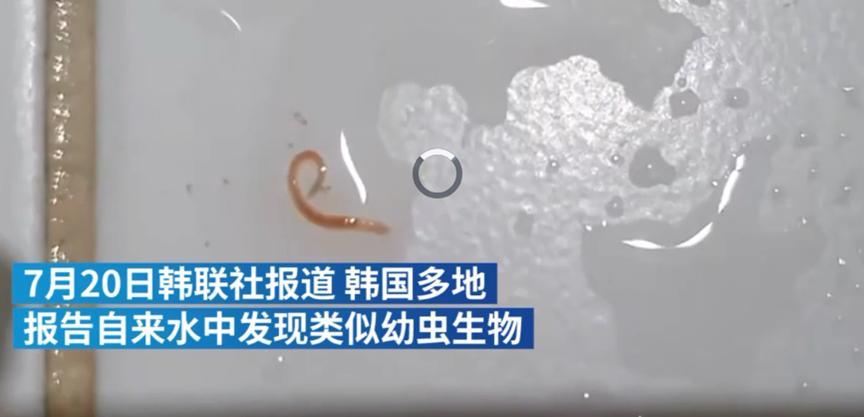 韩国自来水出现幼虫，净水厂疑似被昆虫污染，总理要求彻查