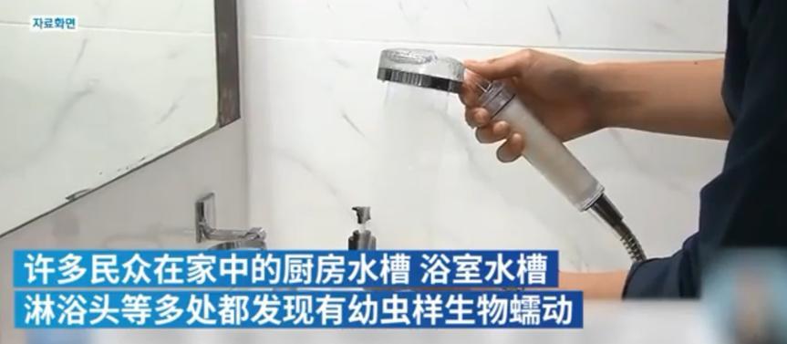 韩国自来水出现幼虫，净水厂疑似被昆虫污染，总理要求彻查