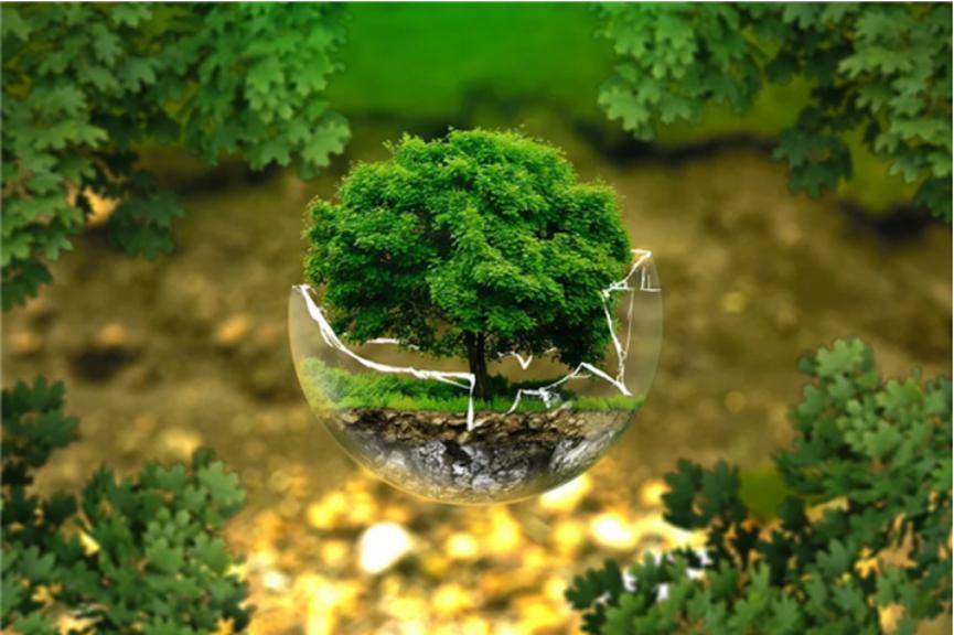 捷报频传！中国的森林面积增加速度十分可观