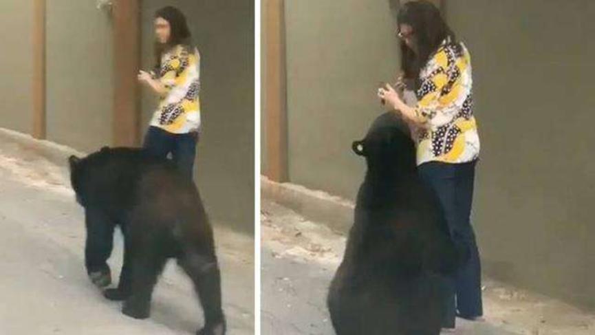 不愧是你！热爱和女生互动的黑熊“再买”热搜