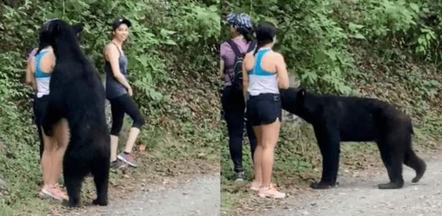 不愧是你！热爱和女生互动的黑熊“再买”热搜