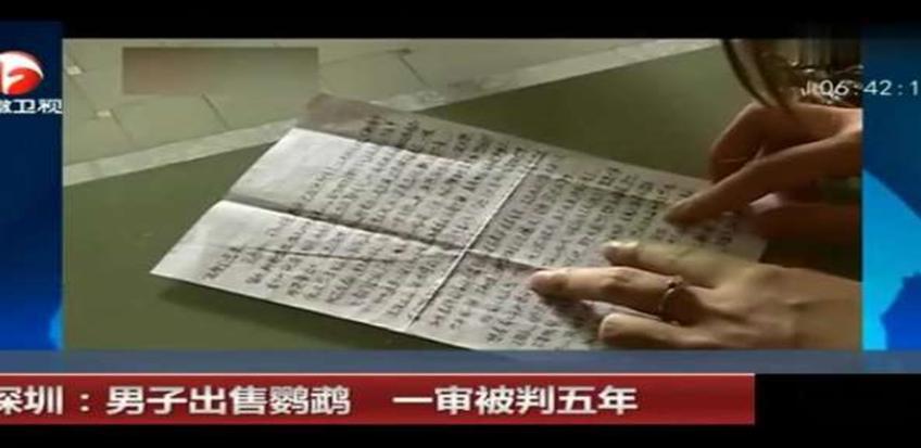 大学生售卖鹦鹉，获刑六年