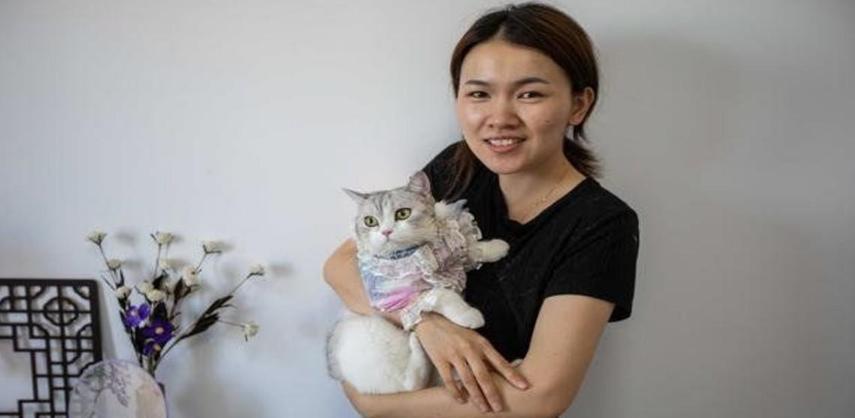 回乡创业，为猫做汉服月入七万