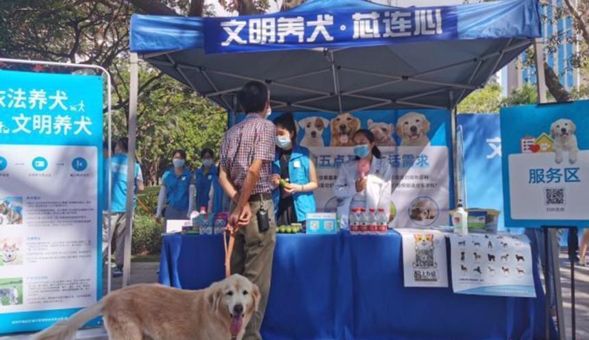 深圳发布新规定，犬只未植入芯片将被视为无证养犬