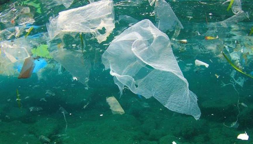 日本研发出可在海水中降解塑料袋，一年完全降解
