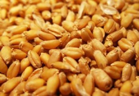 全球面临50年来粮食危机，我国粮食自给率高