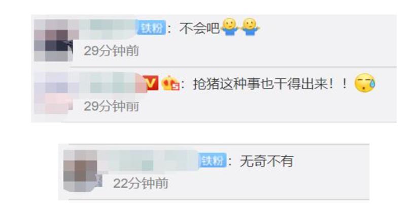 震惊！随着猪肉涨价，种猪竟也成了抢劫物品