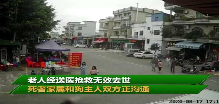 老人被狗绳绊倒身亡，狗主人却逃离现场