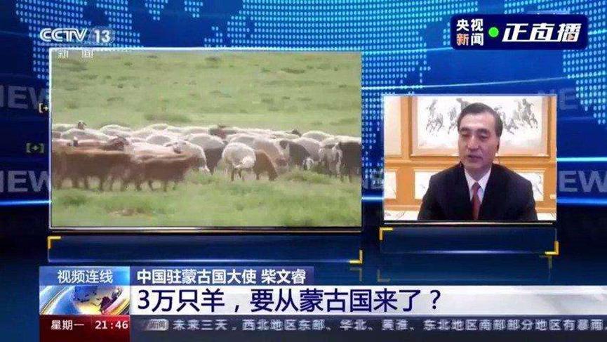 蒙古国送的3万只羊会变成羊肉，外界关注其去向