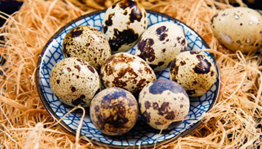 “生命胶囊”，日本鹌鹑蛋包装引热议，农场主这样解释