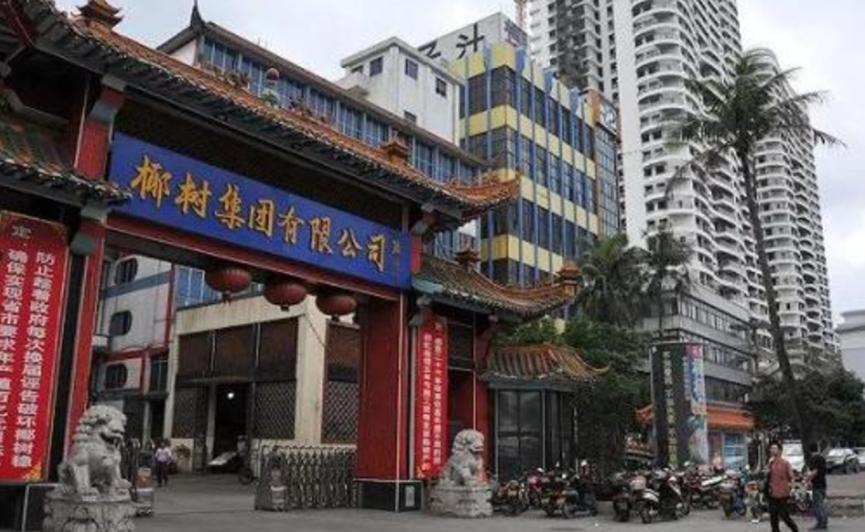 疑似“卖身契”的招生条件，椰树集团为此道歉