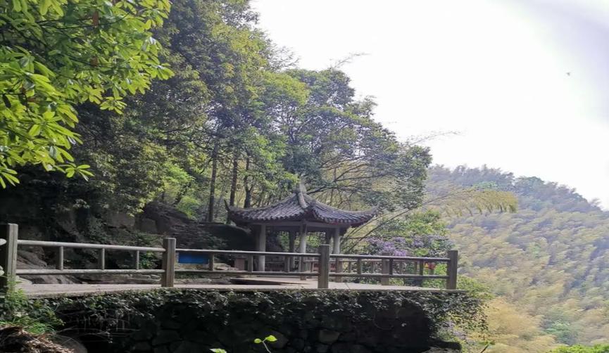孩子景区撒尿，被游客指出，家长还不知悔改