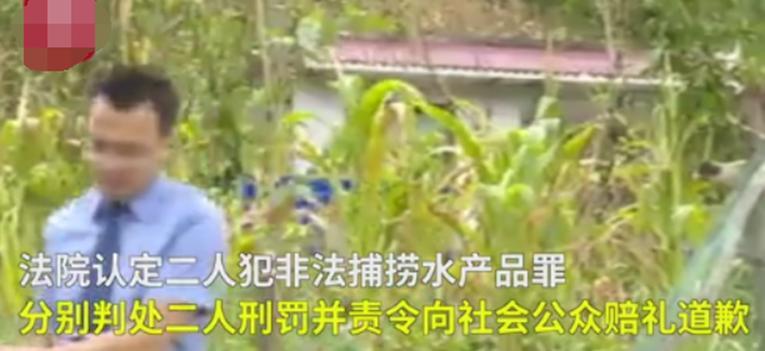非法捕鱼两兄弟判决补偿生态，以鱼还鱼购鱼放生