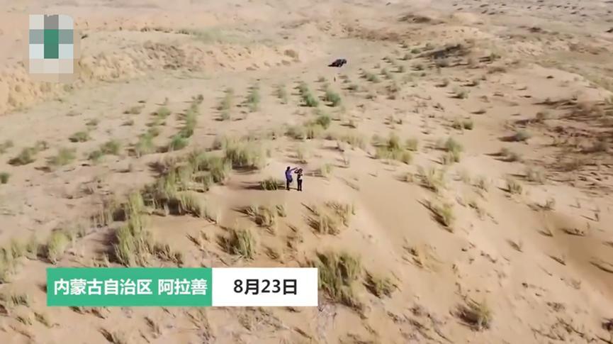 内蒙古夫妇五年如一日种树，如今已达六千余亩