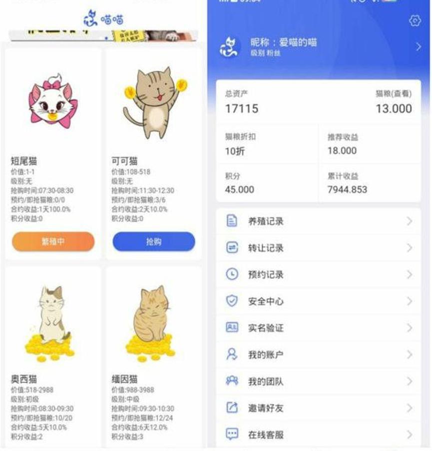 大量用户被网上养猫平台所骗，多人血本无归