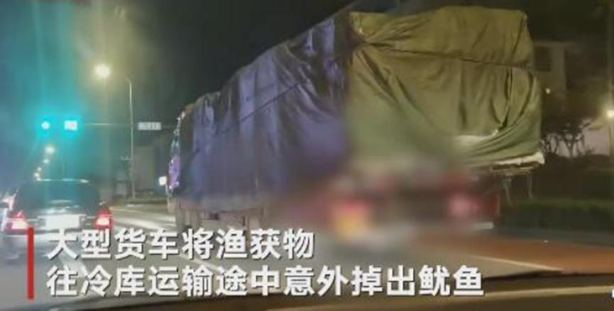 休渔期频繁捕鱼肆意妄为，建立专班严查荣成非法行为