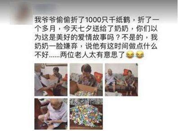 爷爷折千只千纸鹤送奶奶遭嫌弃，大波狗粮来袭