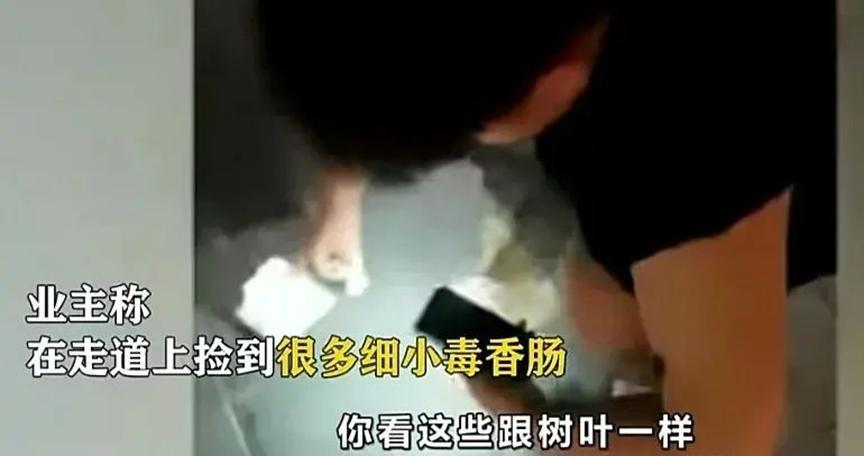 深圳有人对狗痛下杀手，在走道放毒香肠致其死亡