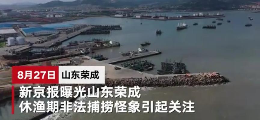 休渔期频繁捕鱼肆意妄为，建立专班严查荣成非法行为