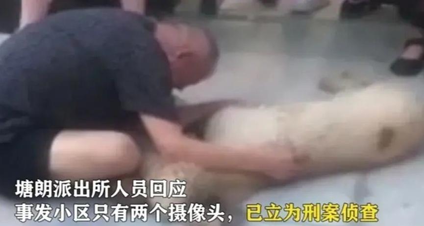深圳有人对狗痛下杀手，在走道放毒香肠致其死亡