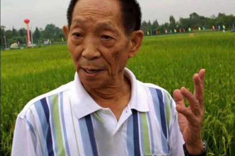 袁隆平说，粮食优质高产，我们做到了！