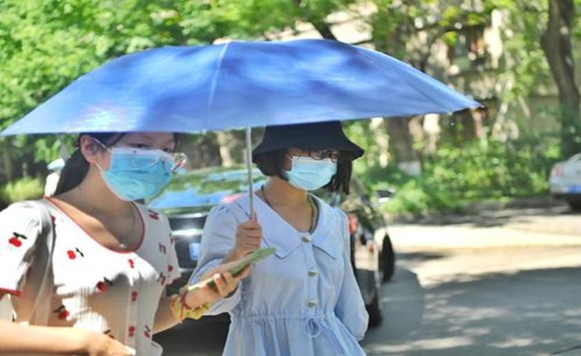 团宠“考古女孩”北大报到，称只想安安静静