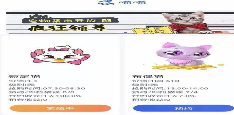  “云养猫”爆雷，骗取上亿资金，受骗人数高达六千